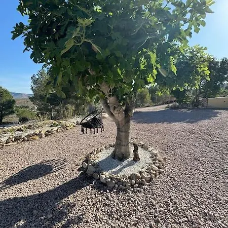 Casa Dusena Luna *